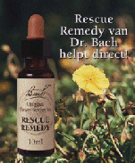rescue remedy